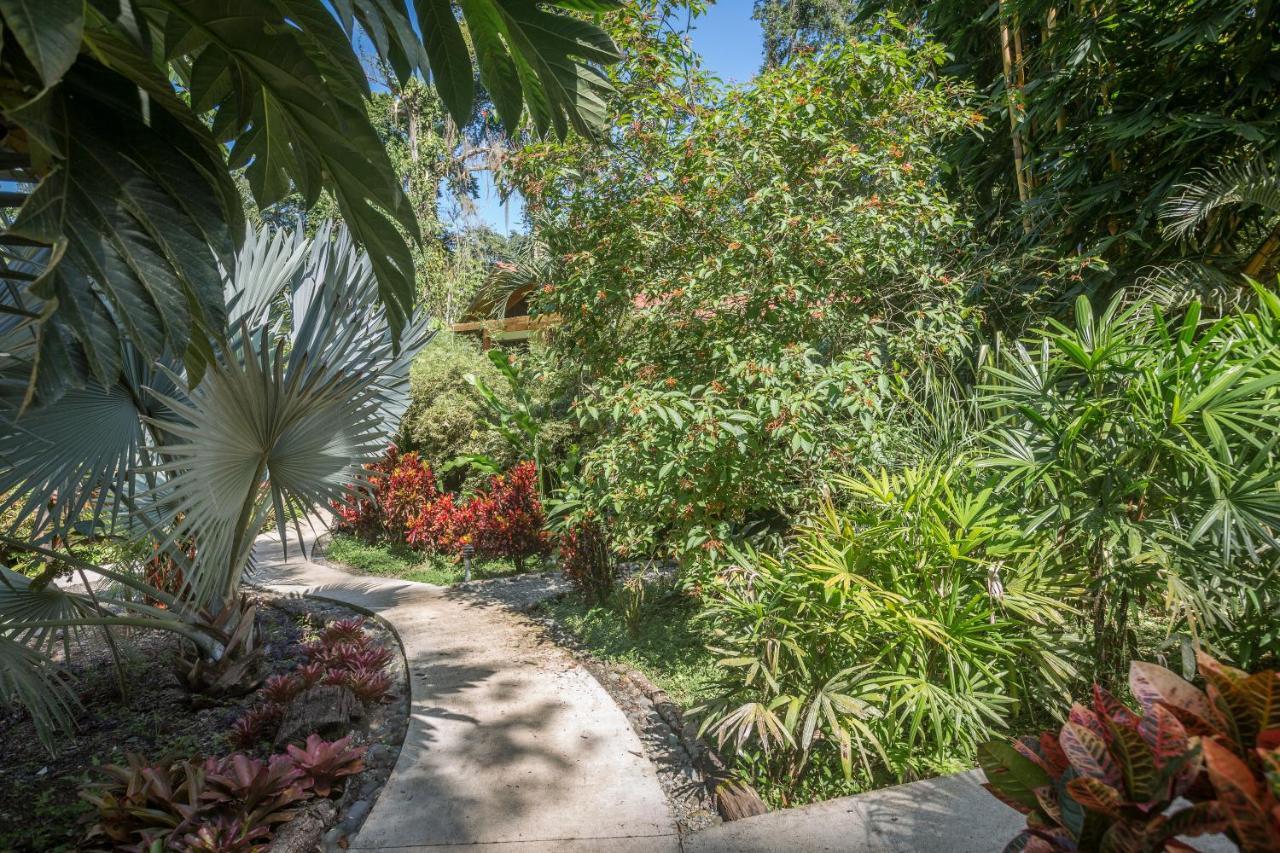 Las Palomas Villas Cocles Exterior photo