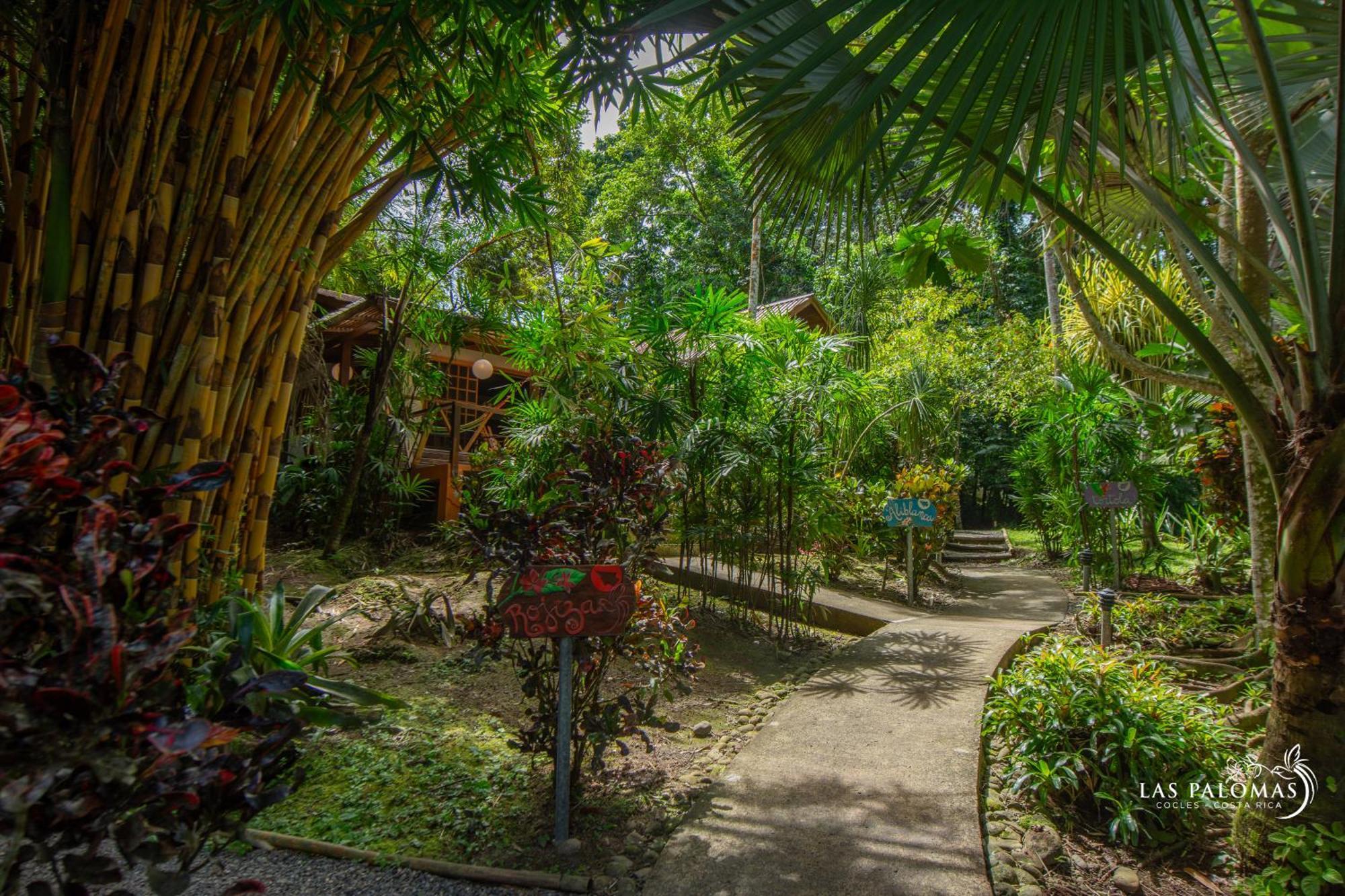 Las Palomas Villas Cocles Exterior photo