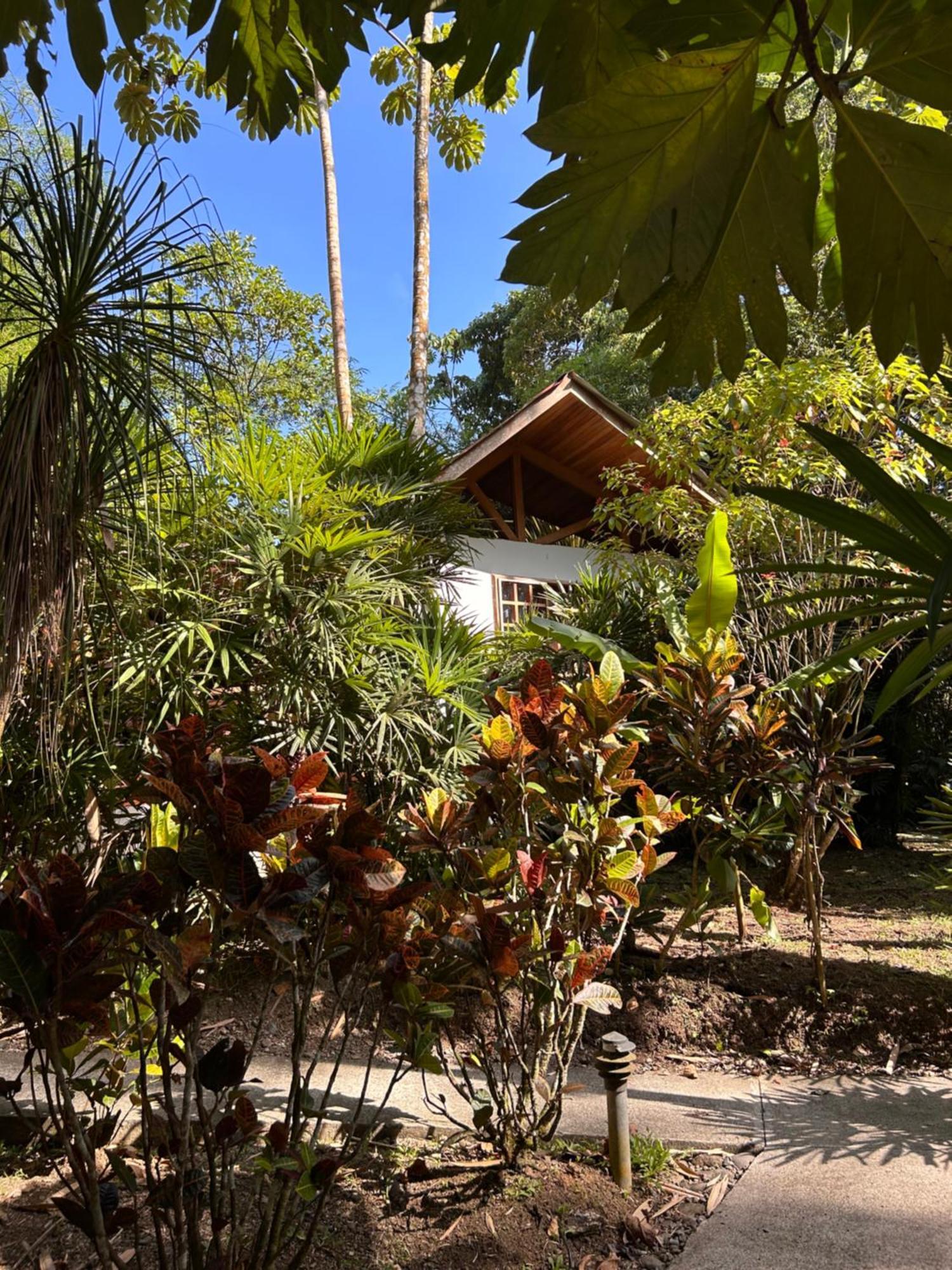 Las Palomas Villas Cocles Exterior photo