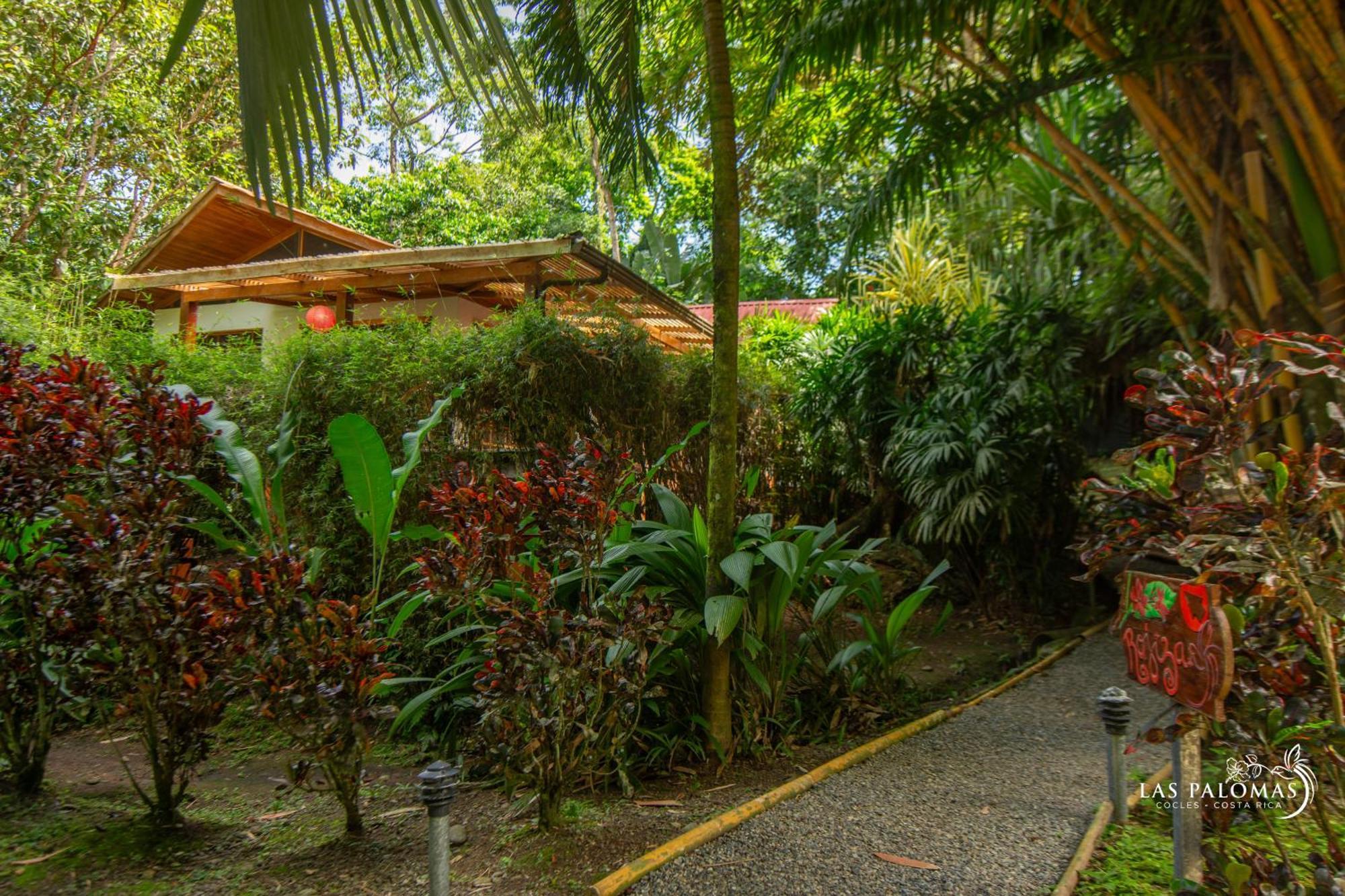 Las Palomas Villas Cocles Exterior photo