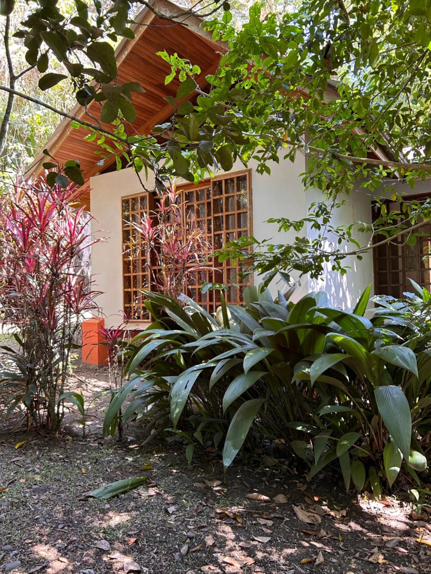 Las Palomas Villas Cocles Exterior photo